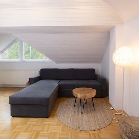 Apartma Pehta 克拉尼斯卡戈拉 外观 照片